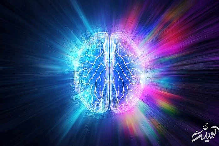 فواید روزه برای مغز انسان  مغز